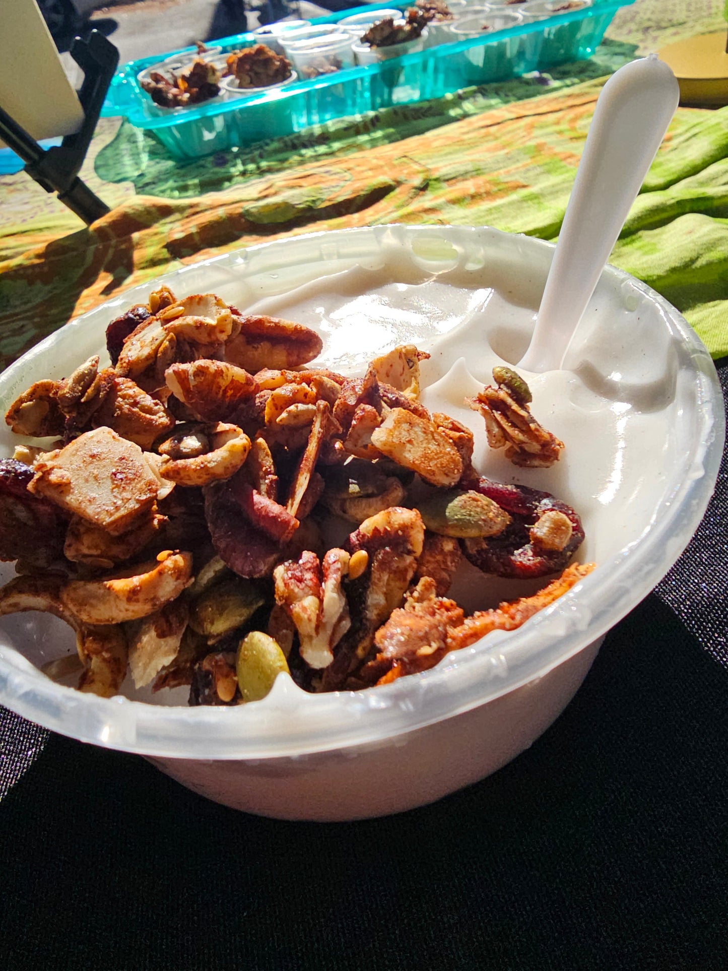 Original No Fruit Grain-Free Gourmet Granola